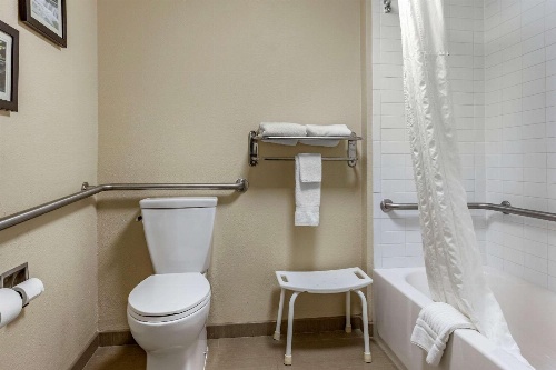 Comfort Inn & Suites Little Rock Airport image 2
