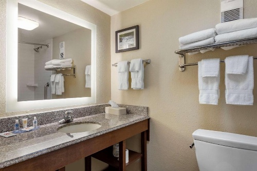 Comfort Inn & Suites Little Rock Airport image 8